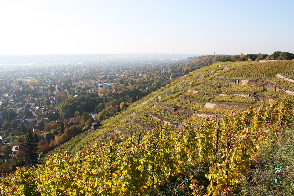 Goldener Herbst am Goldenen Wagen