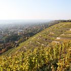 Goldener Herbst am Goldenen Wagen