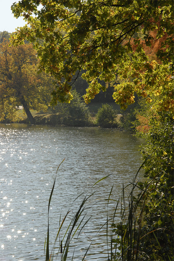 Goldener Herbst am Heiligen See