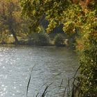 Goldener Herbst am Heiligen See