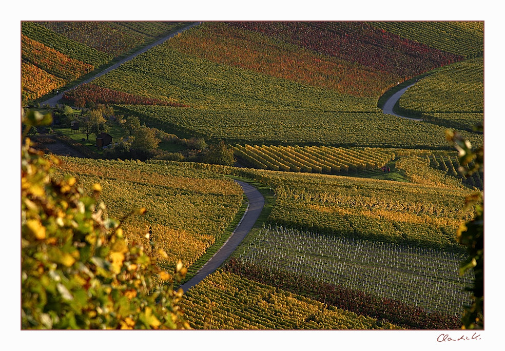 Goldener Herbst am Kappelberg