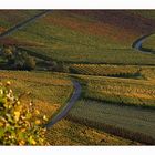 Goldener Herbst am Kappelberg