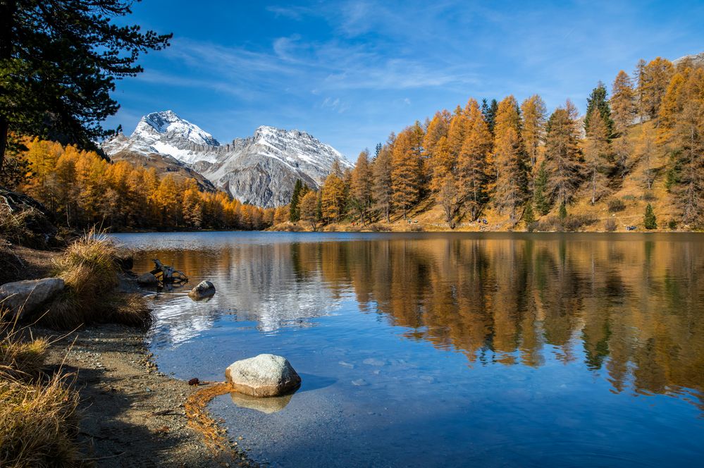 Goldener Herbst am Lai da Palpuogna