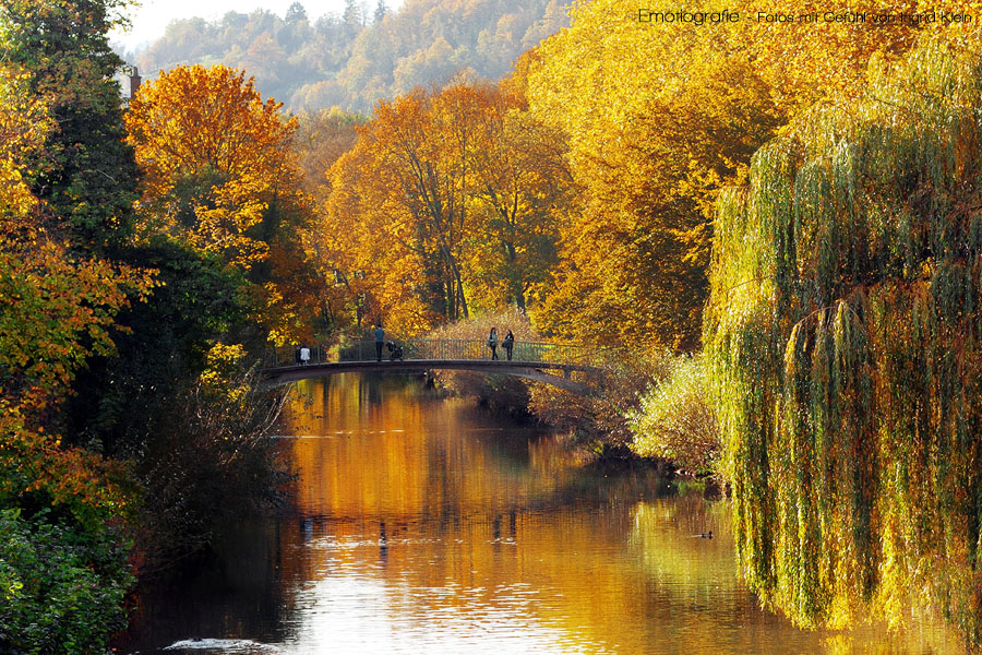 Goldener Herbst am Neckar