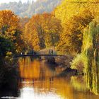 Goldener Herbst am Neckar