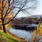 Goldener Herbst am Neckar