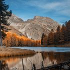 Goldener Herbst am Palpuognasee