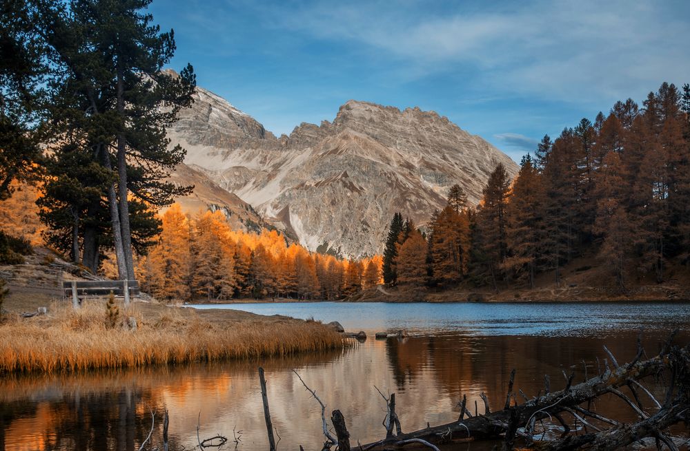 Goldener Herbst am Palpuognasee