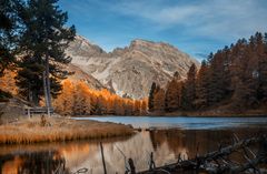 Goldener Herbst am Palpuognasee