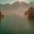 Goldener Herbst am Plansee