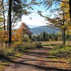 Goldener Herbst am Rennsteig, Nähe Inselsberg