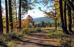 Goldener Herbst am Rennsteig, Nähe Inselsberg