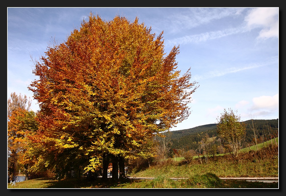 Goldener Herbst am Schliersee