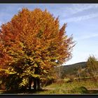 Goldener Herbst am Schliersee