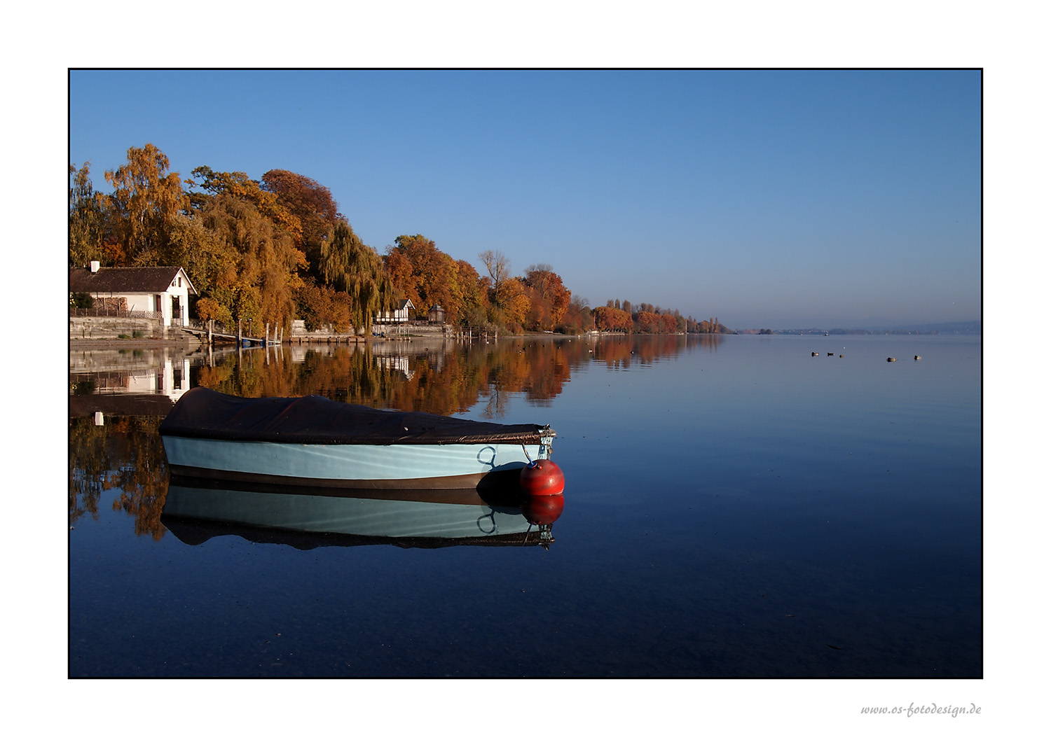 Goldener Herbst am See