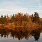 Goldener Herbst am Stieger Dorfteich.