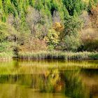 Goldener Herbst am Thalersee