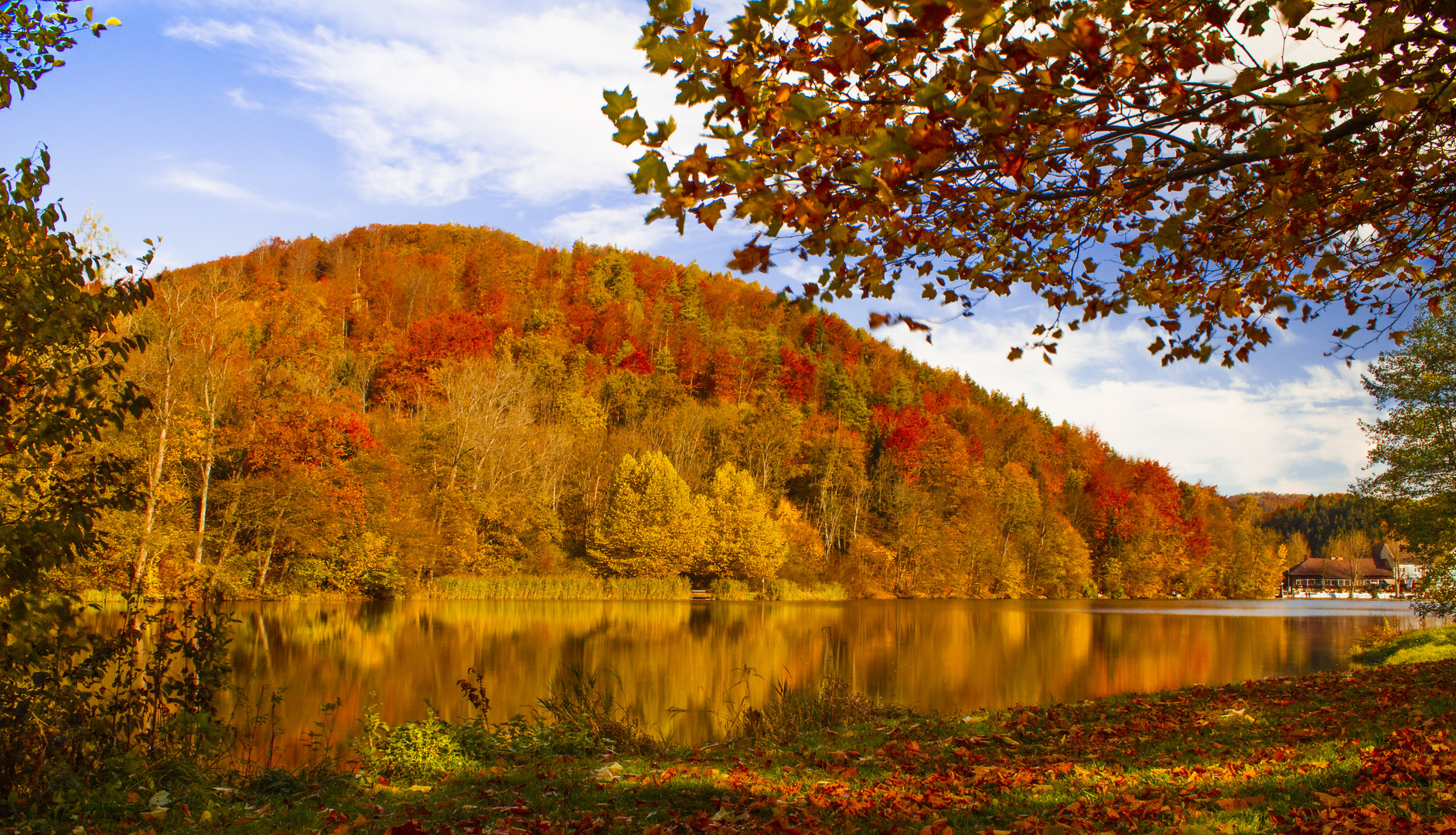 Goldener Herbst am Thalersee