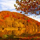 Goldener Herbst am Thalersee