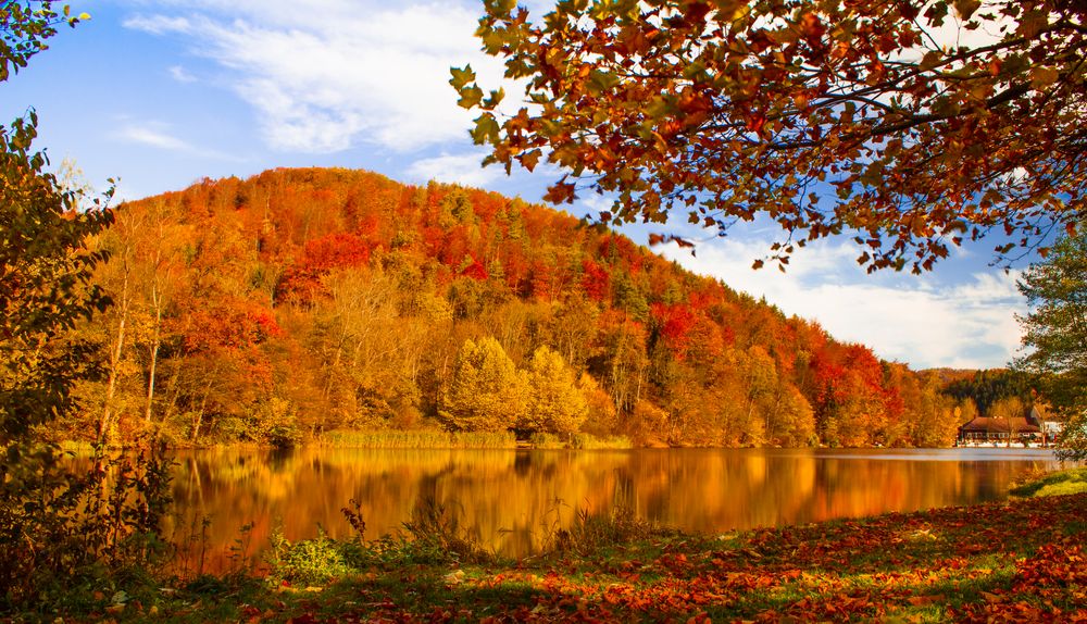 Goldener Herbst am Thalersee