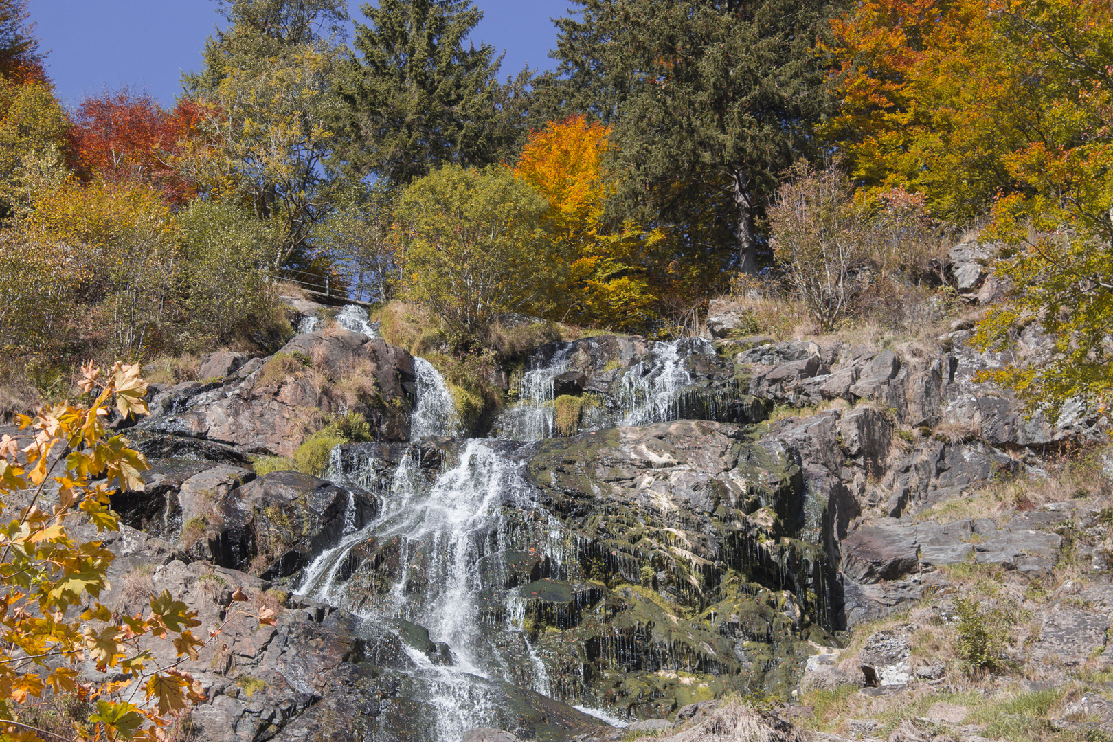 Goldener Herbst am Todtnauer Wasserfall