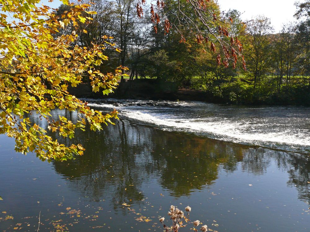 Goldener Herbst am Wupperwehr