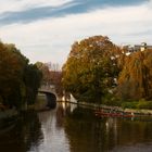 Goldener Herbst an der Alster