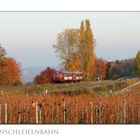 Goldener Herbst an der Mainschleife I