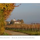 Goldener Herbst an der Mainschleife II