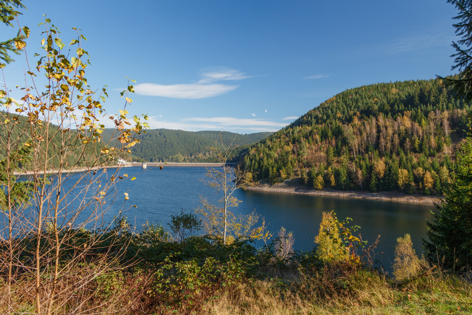 Goldener Herbst an der Ohra-Talsperre in Luisenthal