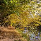 Goldener Herbst an der Wupper.