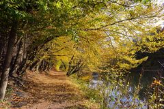 Goldener Herbst an der Wupper.