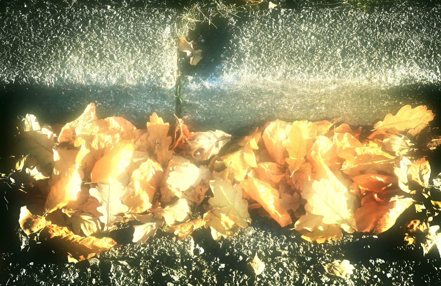 Goldener Herbst auch am Bordstein (mit Absicht nach diffus hin bearbeitet)