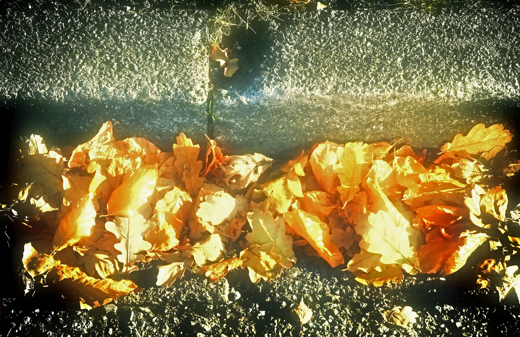 Goldener Herbst auch am Bordstein (mit Absicht nach diffus hin bearbeitet, reload)