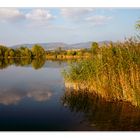 goldener herbst auch am kiessee in immelborn