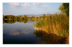 goldener herbst auch am kiessee in immelborn