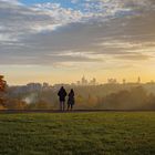 Goldener Herbst auf dem Lohrberg 