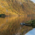 Goldener Herbst auf den Lofoten