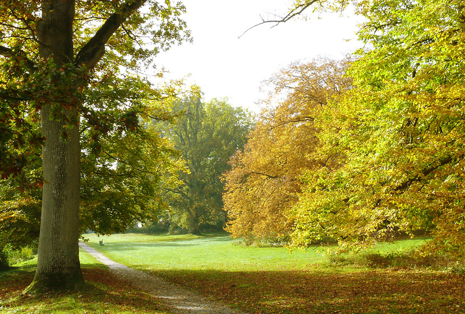 Goldener Herbst auf der Insel Rügen