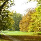 Goldener Herbst auf der Insel Rügen