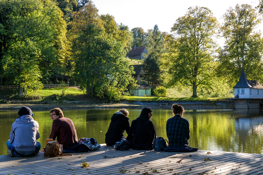 Goldener Herbst auf Dreiweihern über St. Gallen #2