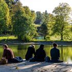 Goldener Herbst auf Dreiweihern über St. Gallen #2