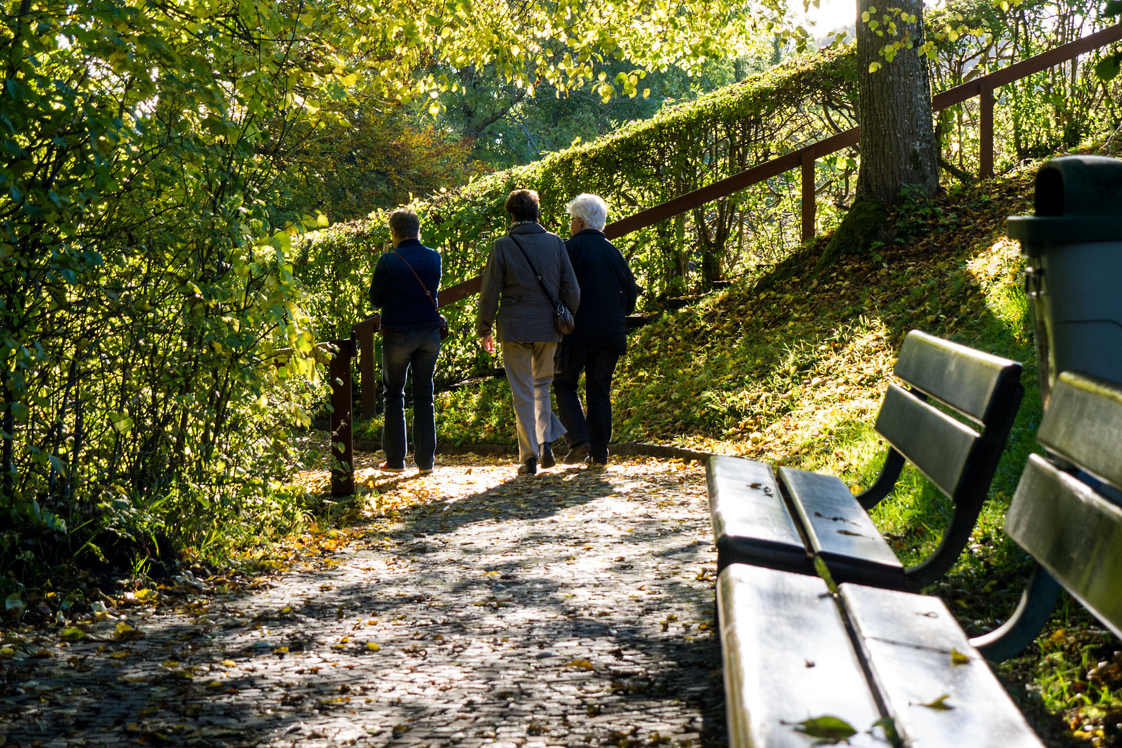 Goldener Herbst auf Dreiweihern über St. Gallen #3