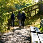 Goldener Herbst auf Dreiweihern über St. Gallen #3