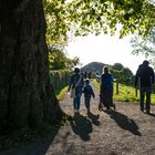 Goldener Herbst auf Dreiweihern über St. Gallen #4