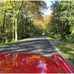 Goldener Herbst auf rotem Lack