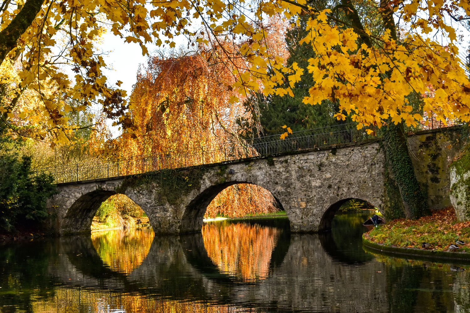 goldener Herbst