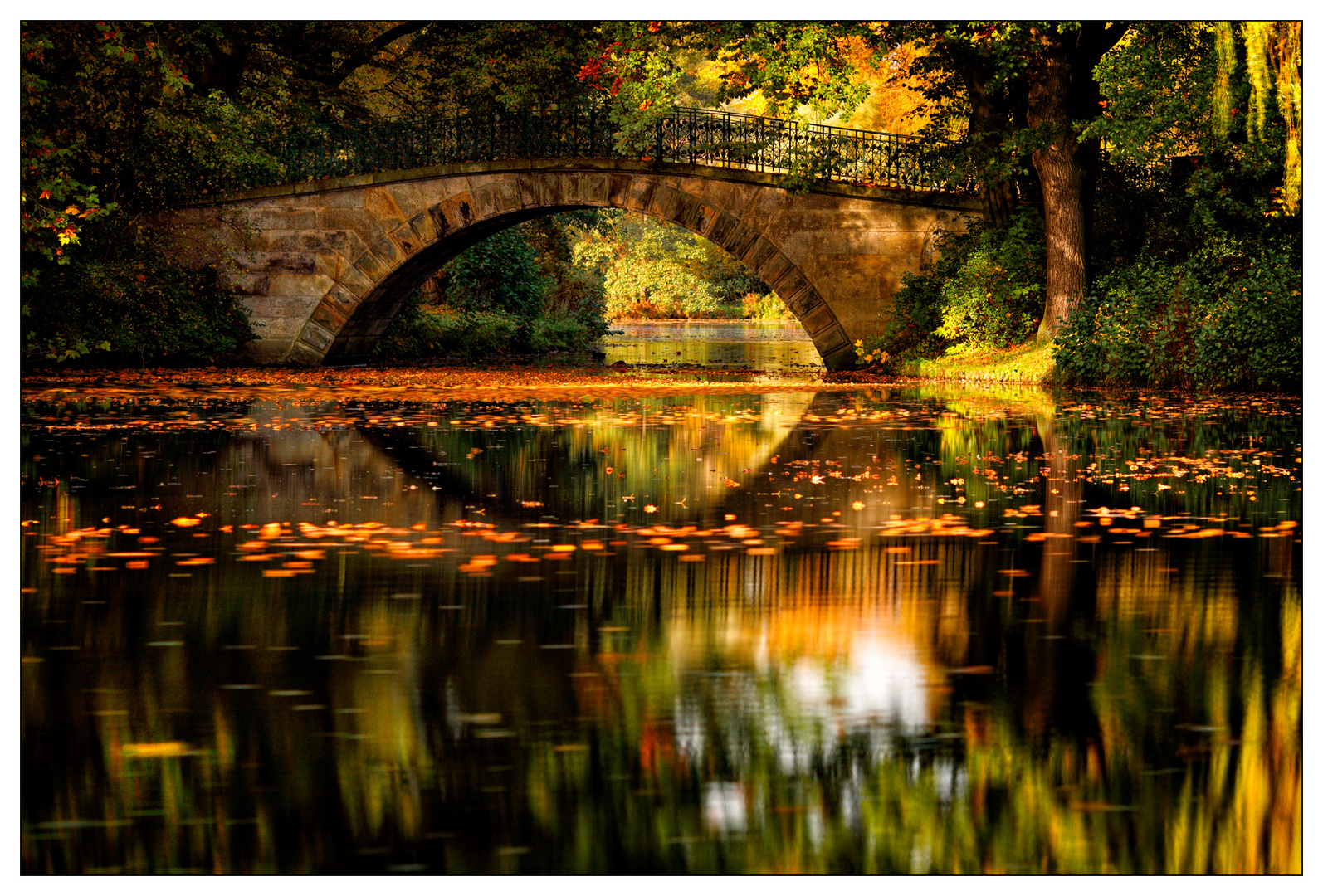 Goldener Herbst