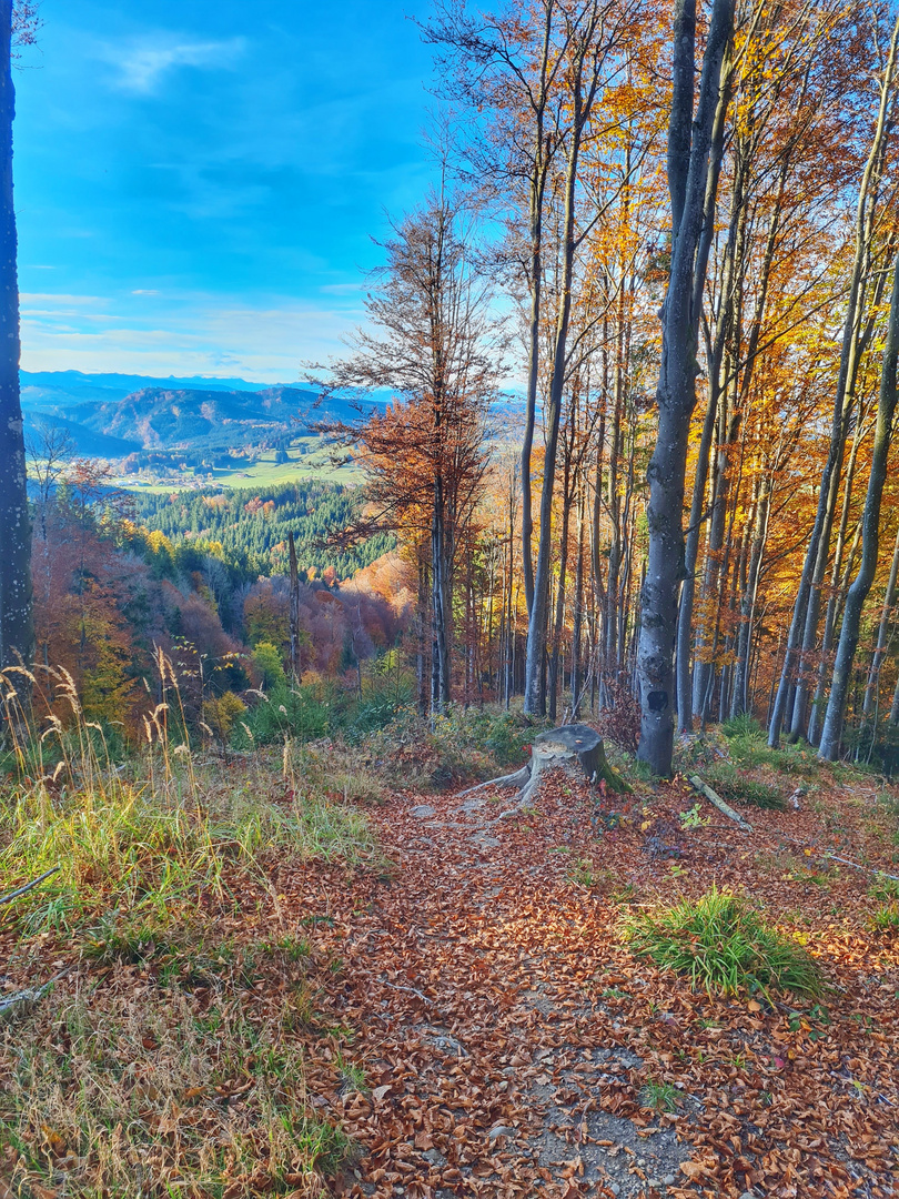 Goldener Herbst 