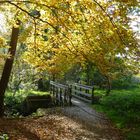 Goldener Herbst